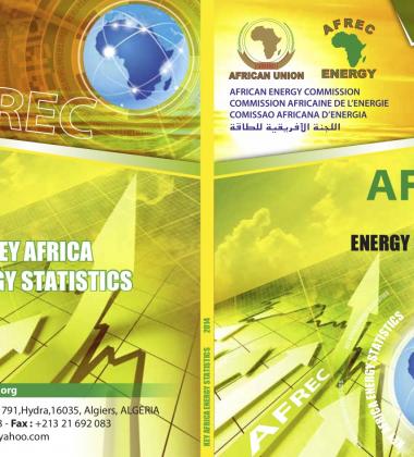 AFREC 2014 Key Africa Energy Statistics